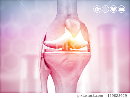 Anatomy of knee joint 139828629