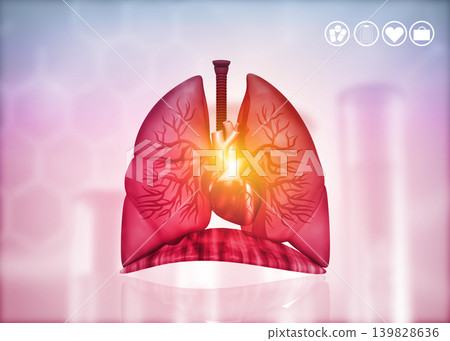 Lungs,Heart Anatomy Lungs,Heart Anatomy 139828636