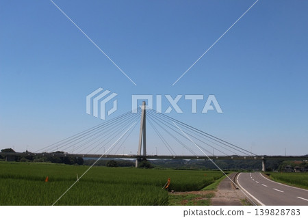 蔚山大橋 蔚山大橋 139828783