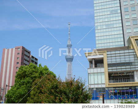 Tokyo Skytree as seen from Kinshi Park | Kinshicho Tokyo Skytree as seen from Kinshi Park | Kinshicho 139828989