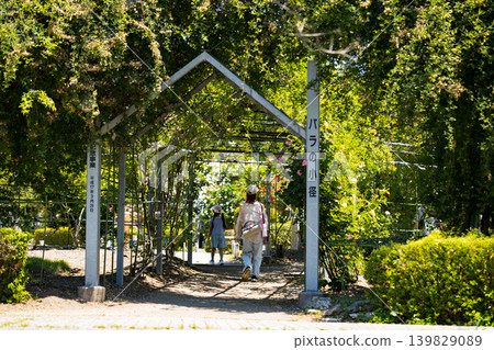 埼玉縣川島町平成之森公園玫瑰小徑 139829089