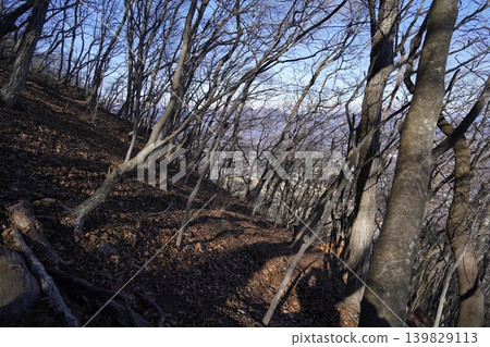 Climbing Mt. Mizusawa in Shibukawa City. The climb from Oyasumiishi to the summit is tough. January 9, 2026 Climbing Mt. Mizusawa in Shibukawa City. The climb from Oyasumiishi to the summit is tough. January 9, 2026 139829113