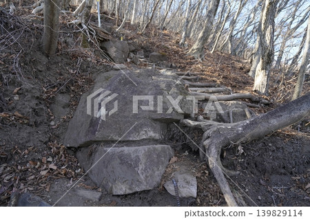Climbing Mt. Mizusawa in Shibukawa City. The climb from Oyasumiishi to the summit is tough. January 9, 2026 Climbing Mt. Mizusawa in Shibukawa City. The climb from Oyasumiishi to the summit is tough. January 9, 2026 139829114