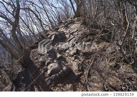 Climbing Mt. Mizusawa in Shibukawa City. Arrived at Ishibotoke-miharashi. View of the ridge trail to the summit. January 9, 2026. Climbing Mt. Mizusawa in Shibukawa City. Arrived at Ishibotoke-miharashi. View of the ridge trail to the summit. January 9, 2026. 139829139