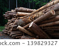 Piles of lumber 005 139829327