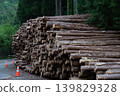 Piles of lumber 006 139829328