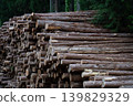 Piles of lumber 007 139829329
