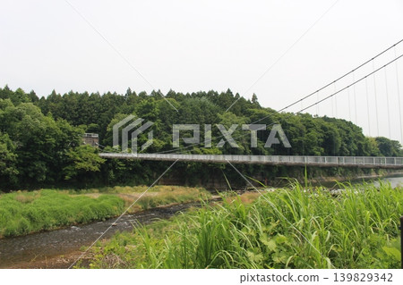 大懸索橋 139829342