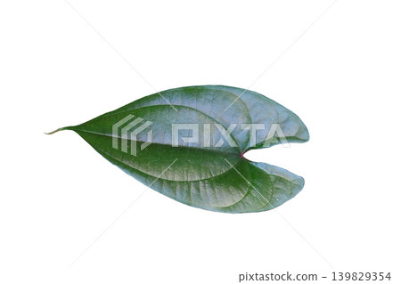 Purple yam leaves Purple yam leaves 139829354