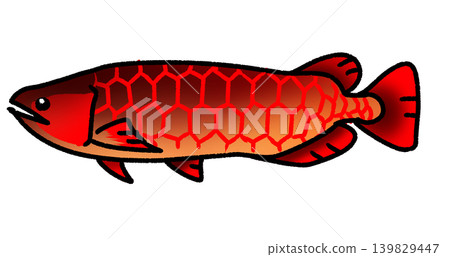 金龍魚 139829447