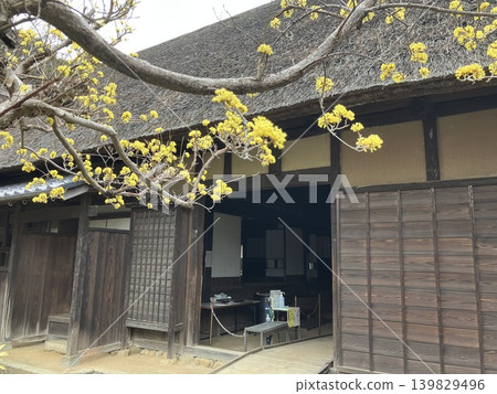 舊取手宿本陣(本館)染谷家住宅及山茱萸 舊取手宿本陣(本館)染谷家住宅及山茱萸 139829496