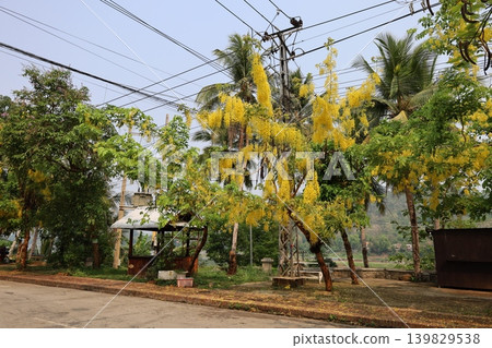 Scenery of Luang Prabang [Laos] 139829538
