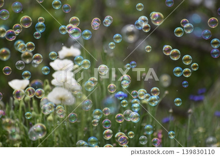 Soap bubbles floating in a flower field Soap bubbles floating in a flower field 139830110