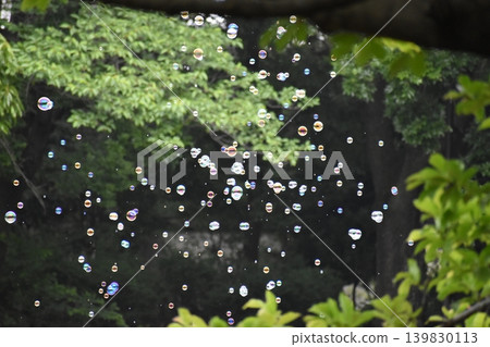 花田裡漂浮著肥皂泡 139830113