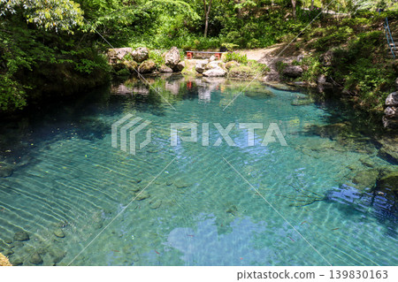 高知縣:神秘清澈的白龍湖 高知縣:神秘清澈的白龍湖 139830163