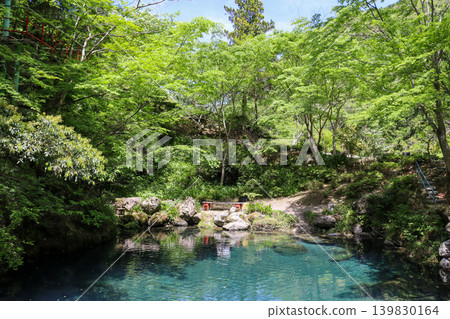 高知縣:神秘清澈的白龍湖 高知縣:神秘清澈的白龍湖 139830164