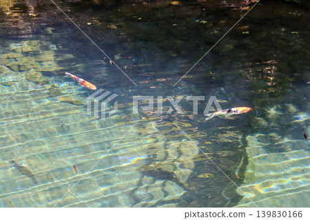 Kochi Prefecture: The mystical and crystal-clear Lake Hakuryu Kochi Prefecture: The mystical and crystal-clear Lake Hakuryu 139830166