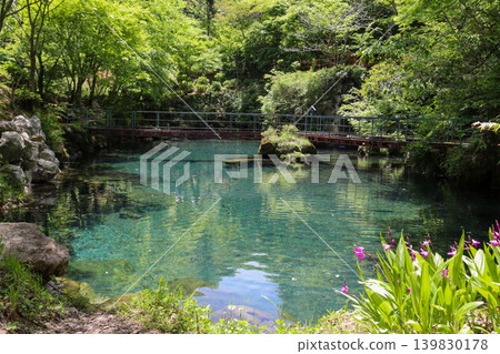 Kochi Prefecture: The mystical and crystal-clear Lake Hakuryu Kochi Prefecture: The mystical and crystal-clear Lake Hakuryu 139830178