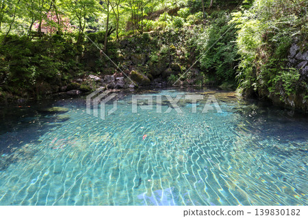 高知縣:神秘清澈的白龍湖 高知縣:神秘清澈的白龍湖 139830182