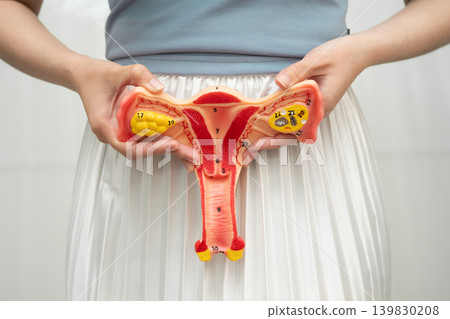 Uterus, Asian woman holding human anatomy model. Uterus, Asian woman holding human anatomy model. 139830208