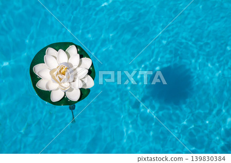 Plastic water lily floating on calm pool water surface Plastic water lily floating on calm pool water surface 139830384