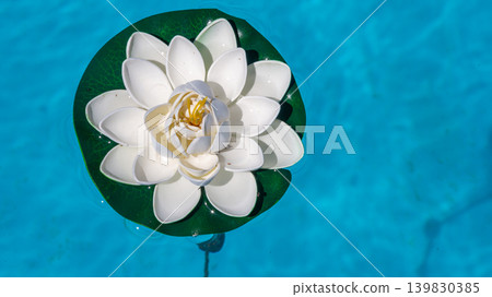 Artificial water lily decoration drifting in a swimming pool 139830385