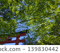 紅色鳥居和鬱鬱蔥蔥的樹木；從低角度拍攝的栃木縣那須神社。 139830442