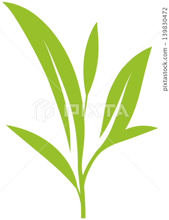 tea leaves on a white background tea leaves on a white background 139830472