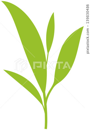tea leaves on a white background tea leaves on a white background 139830486