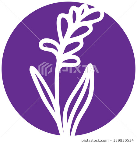 Lavender flower over the white background Lavender flower over the white background 139830534