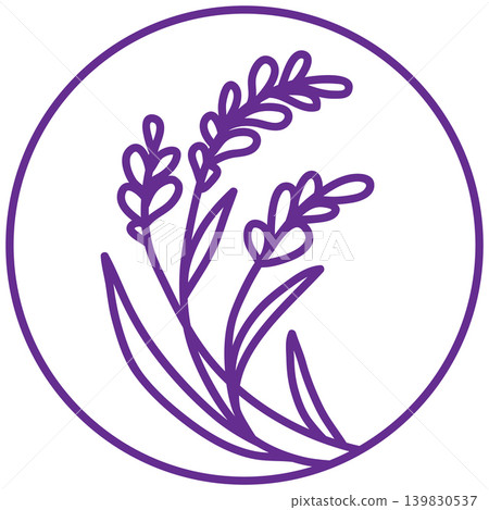 Lavender flower over the white background Lavender flower over the white background 139830537