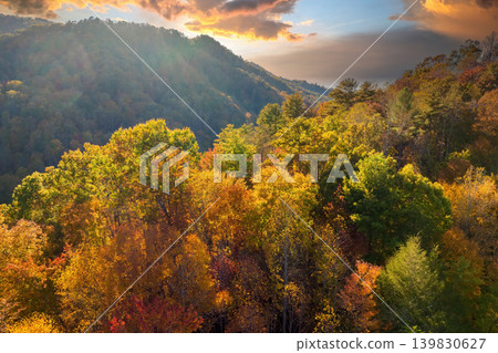 Autumn woods of Appalachian mountains at sunset with yellow and orange canopies in colorful forest. Landscape of wild nature in fall season Autumn woods of Appalachian mountains at sunset with yellow and orange canopies in colorful forest. Landscape of wild nature in fall season 139830627