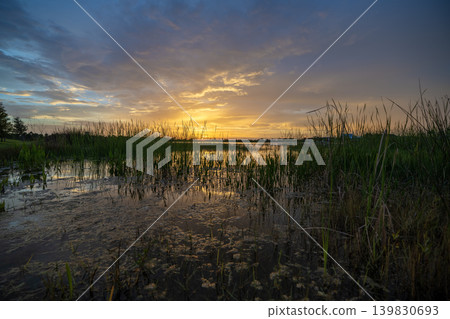 Florida evening nature. Wetland lake at sunset 139830693