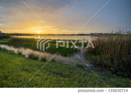 Florida lake nature at sunset. Recreational wildlife area in Wellen park in Venice Florida lake nature at sunset. Recreational wildlife area in Wellen park in Venice 139830714
