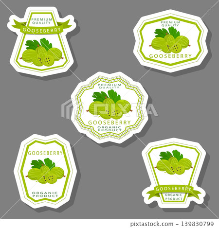 Sweet juicy tasty natural eco product gooseberry Sweet juicy tasty natural eco product gooseberry 139830799