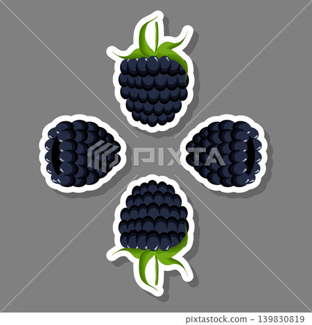 Sweet juicy tasty natural eco product blackberry Sweet juicy tasty natural eco product blackberry 139830819