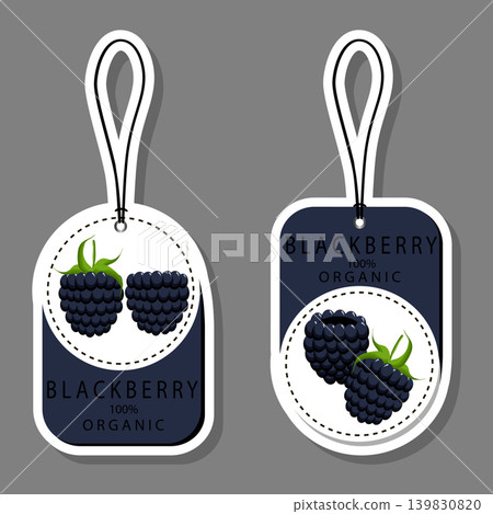 Sweet juicy tasty natural eco product blackberry 139830820