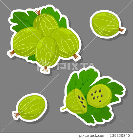 Sweet juicy tasty natural eco product gooseberry Sweet juicy tasty natural eco product gooseberry 139830840