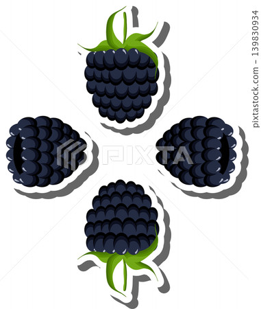 Berry theme from set juicy delicious blackberry of various sizes 139830934