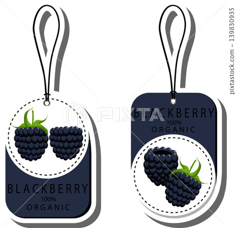 Berry theme from set juicy delicious blackberry of various sizes Berry theme from set juicy delicious blackberry of various sizes 139830935
