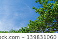 沖繩美麗的風景，藍天綠樹環繞（留白/藍天背景/藍天素材/夏季素材/春季素材） 139831060