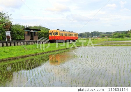 千葉縣小湊鐵道Kazusakawama站 139831134