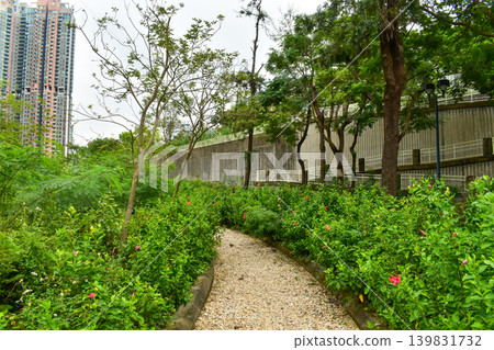 Close-up of a path in a public park in Hong Kong. A park trail with plants and flowers. Nature scene. Close-up of a path in a public park in Hong Kong. A park trail with plants and flowers. Nature scene. 139831732
