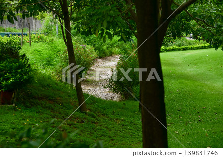 Close-up of a path in a public park in Hong Kong. A park trail with plants and flowers. Nature scene. Close-up of a path in a public park in Hong Kong. A park trail with plants and flowers. Nature scene. 139831746