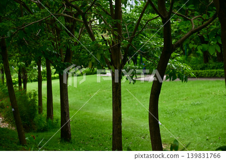 The scene of a Hong Kong public park with green trees. Nature scene. 139831766