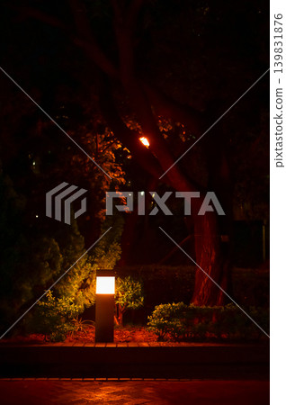The night scene of Hong Kong public park. Travel concept. The night scene of Hong Kong public park. Travel concept. 139831876