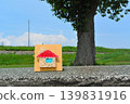 House String Art 139831916