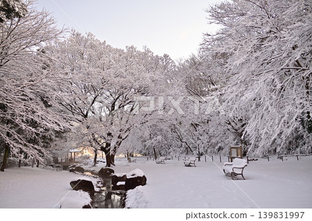 Snowy morning flower island park Snowy morning flower island park 139831997