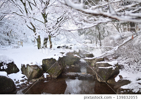 Snowy morning flower island park Snowy morning flower island park 139832055