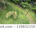 A spring scene in Japan: bamboo, bamboo shoots, and a path viewed from above. 139832150